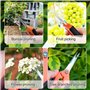 iCovalescent 2pcs Ciseaux de Jardinage Faits à la Main, Sécateurs Précision Jardinage, Ciseaux de Jardinage en Acier Inoxydable 