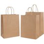 VIVIIHOO 20pcs Sacs en Papier Marron, Sacs en Papier avec Poignées, Sacs Cadeaux, Convient pour Halloween, Noël, Thanksgiving, A