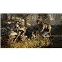 Days Gone