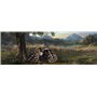 Days Gone