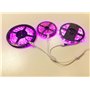 LitaElek 2pcs Câble Diviseur 1 à 3 Bande LED RGBW Câble Séparateur Ruban LED Répartiteur DC à 3 Voies 1 to 3 LED Splitter Cable 