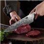 Couteau de Cuisine Japonais en Acier en Poudre SG2