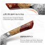 SHAN ZU Couteau de Chef Damas, Couteau de Cuisine Japonais en Acier en Poudre SG2, 20cm Couteau Japonais Forgé à la Main en 91 C