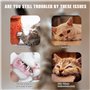 Canne à pêche pour chat de 77 cm - Jouet interactif pour chat - Bâton de jeu avec plumes, cloches et plumes