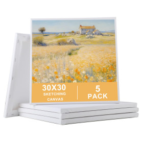 Toile Peinture (Lot de 5) – Toiles à Peindre Vierges 30x30 cm avec Cadre à Clés