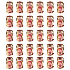 30 Pièces Insert Fileté pour Bois