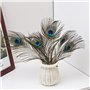 Plumes Duveteuses Plumes D'oiseaux pour Loisirs Créatifs DIY Dreamcatcher Bricolage Fête de