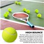balles de tennis pour les loisirs