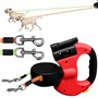 Laisse pour Chien