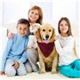 Collier Bandana Chien Bandana Chien Collier Lavable Bandana Chien Écharpe Reglable Bandana Chien Car