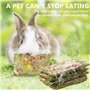 15 Pièces Jouets À Mâcher pour Lapins, Jouets À Mâcher pour Lapins Naturels, Petits Animaux Bâtons Molaire, Jouet A Macher Lapin