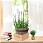 Hidyliu Pot de Fleur tonneau Bois Decoration Grand de Jardin en résine Imitation tonneau de Bois de décoration de la Maison Styl
