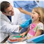 Youya Modèle de dents 2 fois de grandes tailles, modèle d'enseignement dentaire avec brosse à dents et langue pour enfants