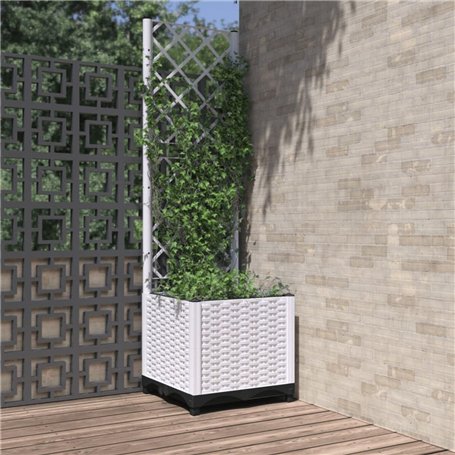 Jardinière avec Treillis