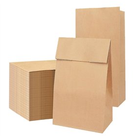 100 Pièces Sacs en Papier Kraft 28 x 15 x 9 cm Sac Kraft Pochette Cadeau Sac en Papier Marron Sac d'Emballage en Papier Kraft Sa