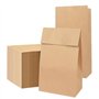 100 Pièces Sacs en Papier Kraft 28 x 15 x 9 cm Sac Kraft Pochette Cadeau Sac en Papier Marron Sac d'Emballage en Papier Kraft Sa