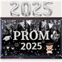 Iridsmole Décorations de bal de fin d'année 2025 - Ballons en feuille d'argent avec bandeau de remise de diplôme - Bannière de r