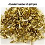 ATBUSS Lot de 220 punaises à tête ronde dorées - Pour scrapbooking, papier à main - 8 x 17 mm