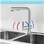 Robinet Cuisine Douchette, Mitigeur Cuisine avec Douchette Extractible, Robinet Cuisine Douchette avec 2 Modes de Pulvérisation,