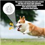 ZGDEIWGF Lot de 20 jouets à presser pour chien avec airbag - Accessoires en plastique - Jouet couineur pour chien