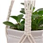 Kaxich 4 Pcs Suspension Plante Corde Macramé Corde de Coton Pot Suspendu Plante Porte Décoration du Jardin Intérieur Extérieur p
