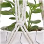 Kaxich 4 Pcs Suspension Plante Corde Macramé Corde de Coton Pot Suspendu Plante Porte Décoration du Jardin Intérieur Extérieur p