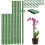 Tuteurs pour Plantes