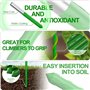 20 Pièces Tuteur Plante Interieur