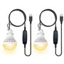 Ampoules LED USB
