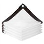 Tapvai 2 M X 3 M Bâche Transparente avec Œillets