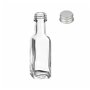 gouveo lot de 60 bouteilles en verre 20 ml Maraska avec bouchon à vis argenté - mini bouteille 0,02 l à remplir - bouteilles en 