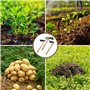 CHEUKYIU Bodenbea - Lot de 3 bines de jardin avec houe plate large - Pioche plate étroite - Pioche plate - Pioche à quatre dents