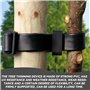 Attaches De Souche d'arbre