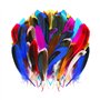 TYFGRT 100 Pièces Plumes Colorées