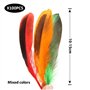 Matériaux De Décoration De Plumes Bricolage