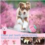 VIPNAJI Ensemble Lot de 15 de Jouets pour Chien, durables mâcher Corde Jouet,Indestructible Jouet à Mâcher Corde de Dentition po