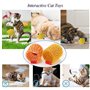 Liwein Jouet Ressorts Chat, Coloré Jouets à Ressort de Chat Plastique Hélicoïdaux en Spirale Interactifs Durables Cadeau de Nouv