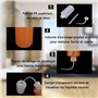 JMIATRY 10 Pcs Pissette 250ml, Bouteille Plastique Flacons Souples en Plastique avec Pipette et Bouchon pour Laboratoires, Plant