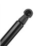 Frankberg 2x Ressorts à Gaz Hayon Compatibles avec Giulietta 940 2010-2021 Remplacer# 50509830