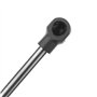 Frankberg 2x Ressorts à Gaz Hayon Compatibles avec Giulietta 940 2010-2021 Remplacer# 50509830