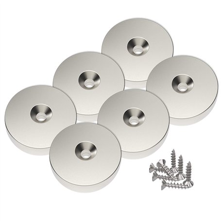 6 pièces Magnetpro Aimants en néodyme 25 x 4.5 mm