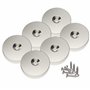 6 pièces Magnetpro Aimants en néodyme 25 x 4.5 mm