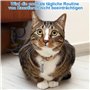 porte-adresse pour animaux de compagnie