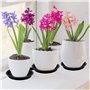 JRSHIRLEYLTD Lot de 9 soucoupes rondes en plastique pour pot de fleurs - Pour l'intérieur et l'extérieur