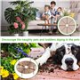 4 Pièces Grille de Protection pour Pot de Fleurs, 52cm et 30cm en Plastique pour Animaux de Compagnie Chat Tombe Sécurité Bébé a