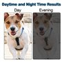 Lot de 2 clips de sécurité réfléchissants pour collier de chien - Pivotant à 360° - Avec double fermeture pour harnais de chien 