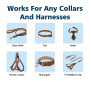 Lot de 2 clips de sécurité réfléchissants pour collier de chien - Pivotant à 360° - Avec double fermeture pour harnais de chien 