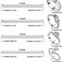 Réducteur de Bague Si