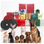 Wowlela Sonnette de Porte pour Chien, Sonnette sans Fil pour Animaux de Compagnie pour Animaux de Compagnie
