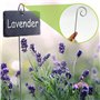 ARTGUTS Lot de 10 cadres porteurs en métal ardoise - Étiquettes pour plantes d'extérieur résistantes aux intempéries - Étiquette